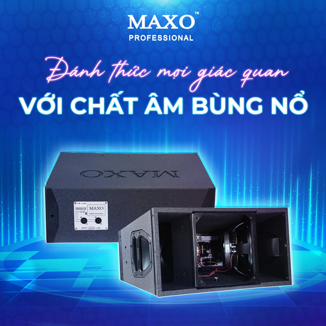 loa-line-array-x210la-new-version-2024-hinh-thiet-ke-danh-thuc-mooi-giac-quan-voi-chat-am-bung-no