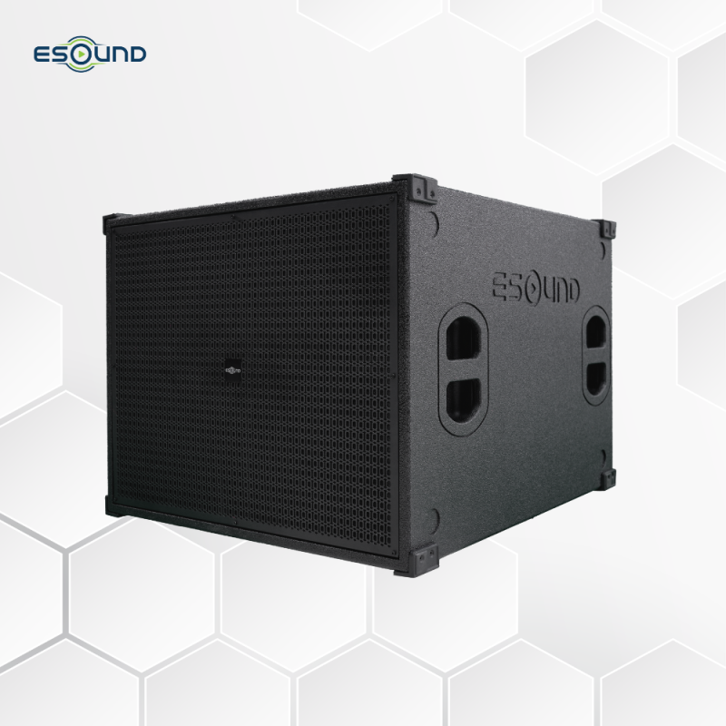 loa-sub-don-es118-hinh-dai-dien-3