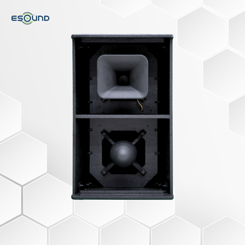 loa-hoa-tien-es212-hinh-dai-dien-2