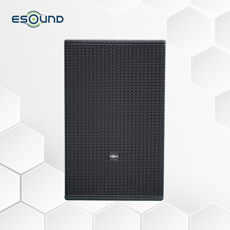 loa-hoa-tien-ES-212PRO-hinh-dai-dien-9