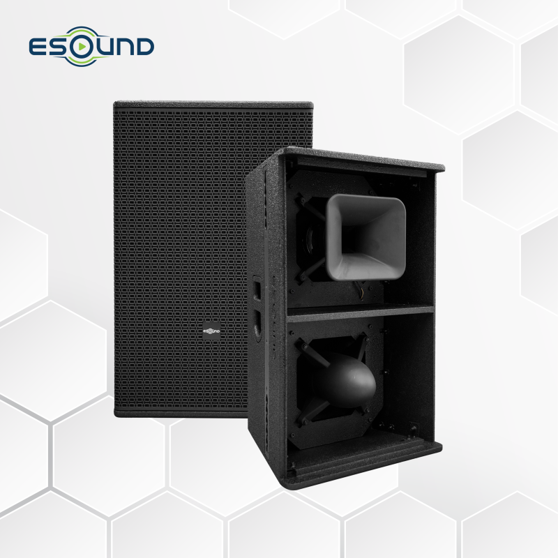 loa-hoa-tien-ES-212PRO-hinh-dai-dien-5